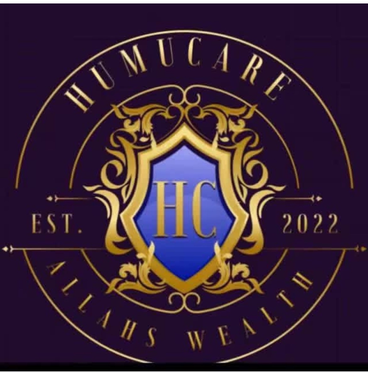 DOMICILARY Job in Hemel Hempstead and Northampton